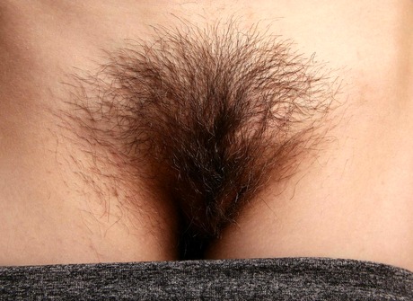 Charlotte by R Williams - 5 of 15