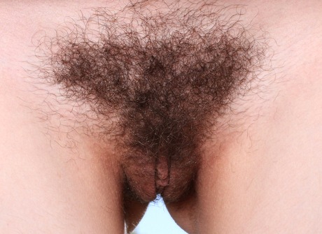 Sensual Ember Stone lifts her skirt to show her cute bush - 4 of 16