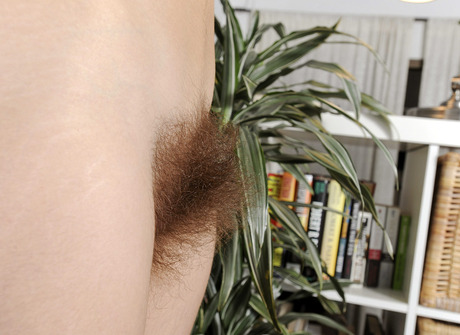 All natural Rose strips and teases with her hot hairy crotch - 13 of 15