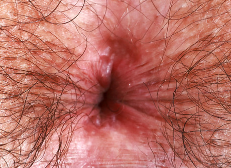 Hairy amateur girl Kyra Rose flaunting unshaved armpits and teasing - 16 of 16